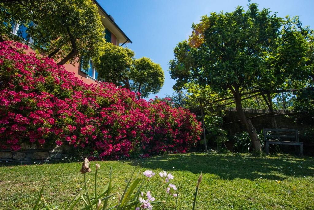 Le Clementine B&B カモーリ エクステリア 写真