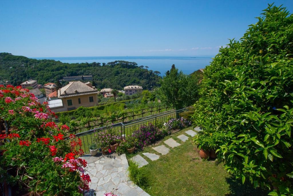Le Clementine B&B カモーリ エクステリア 写真