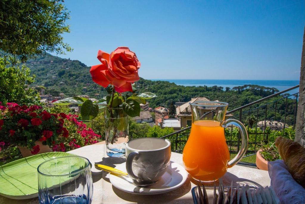 Le Clementine B&B カモーリ エクステリア 写真