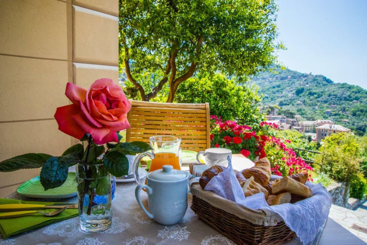 Le Clementine B&B カモーリ エクステリア 写真